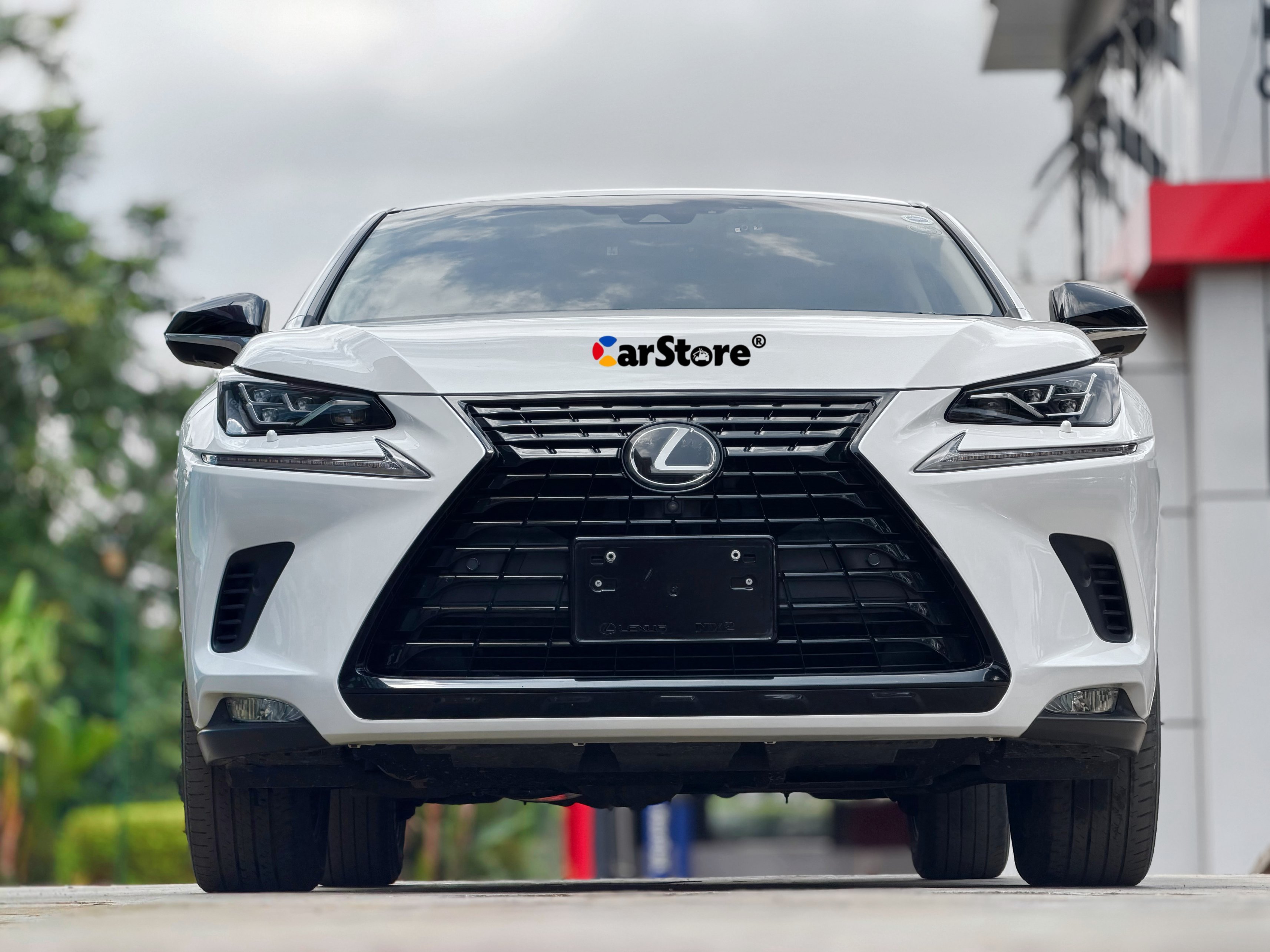 2019 Lexus NX 300 for sale in Kenya - Front View